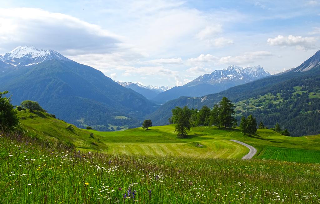 02 – 01.06.2025 – Lenzerheide – Savognin