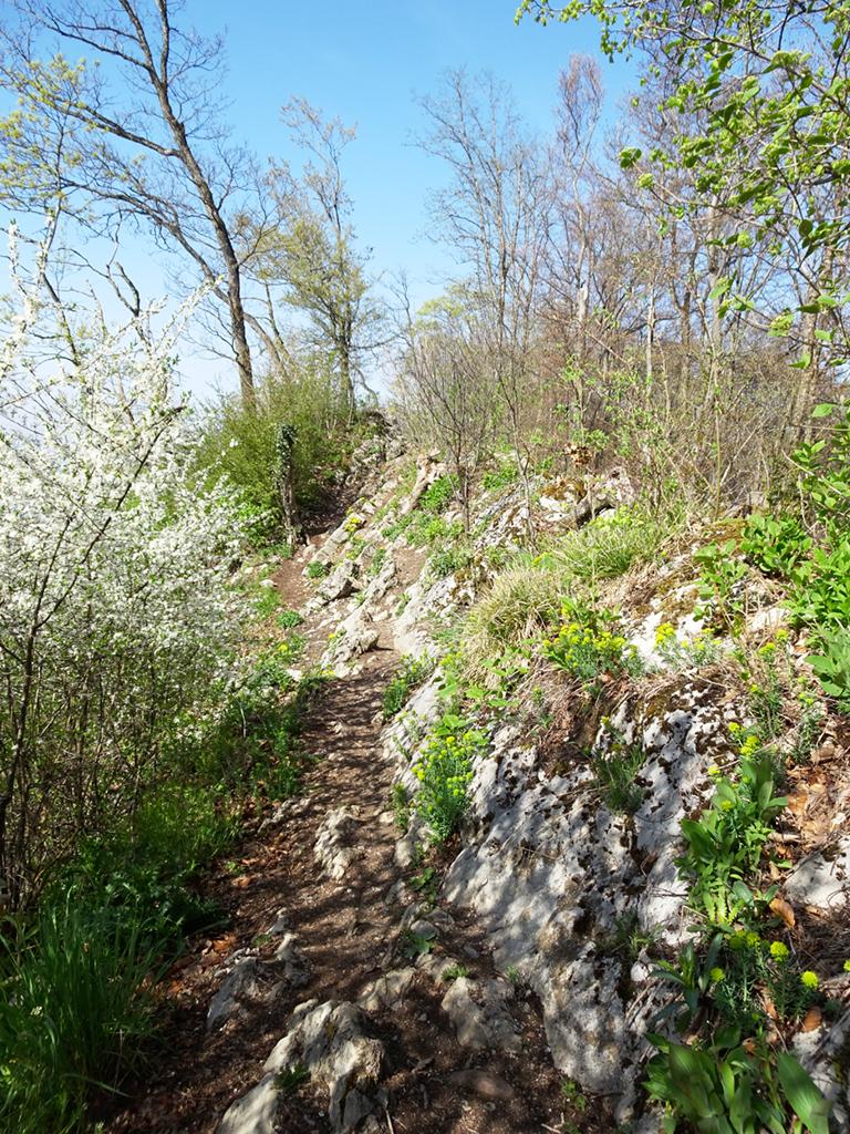 2026-04-11-11h03m58s000_DSC-HX90V
