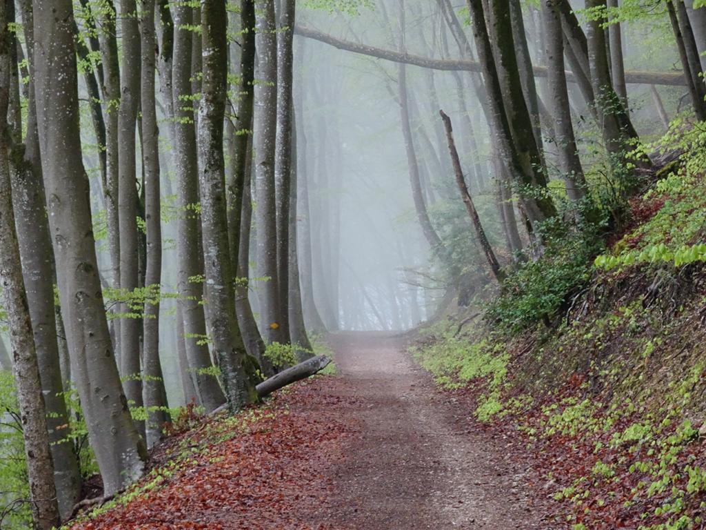 03 – 13.04.2026 Staffelegg – Hauenstein