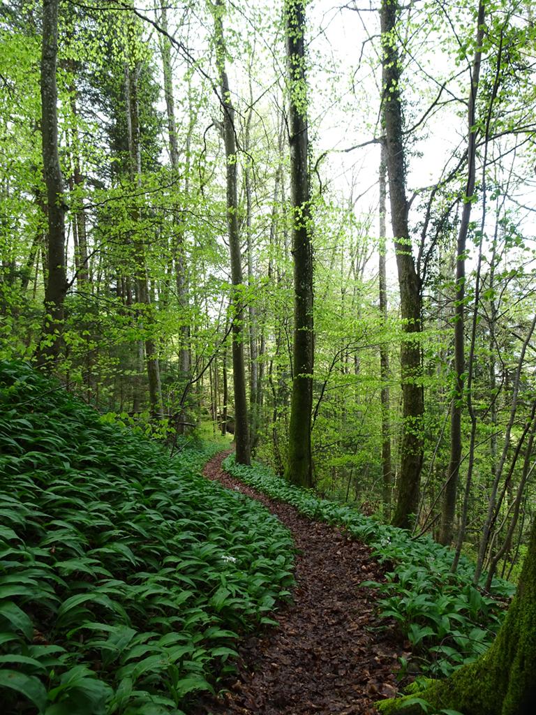 04 – 14.04.2026 Hauenstein – Balsthal
