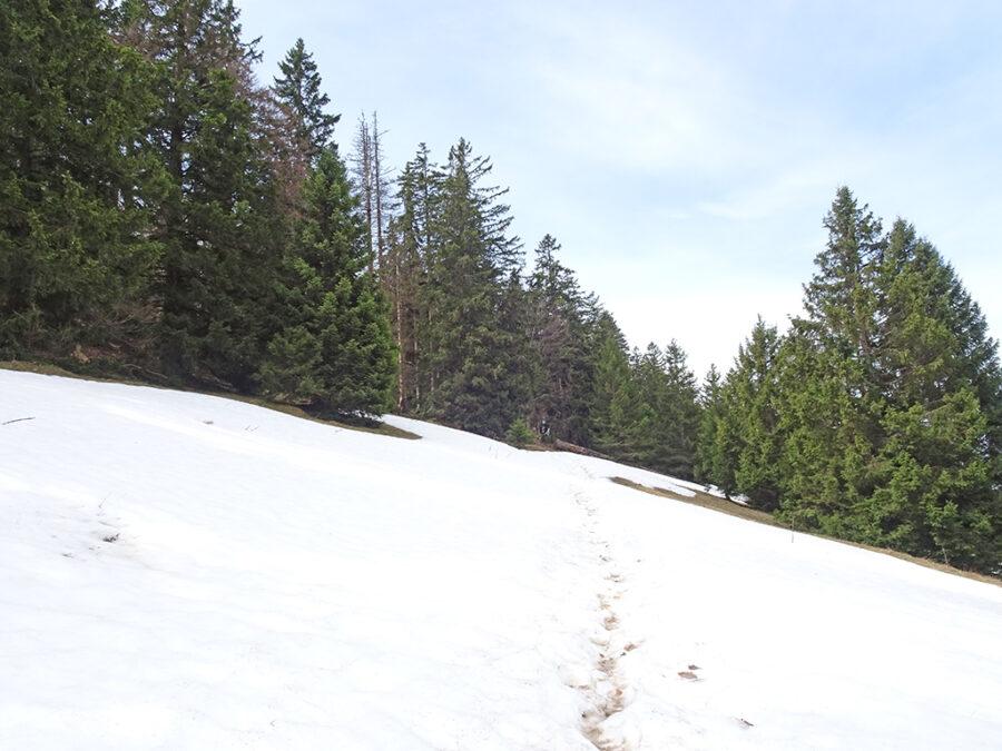 2026-04-17-11h18m46s000_DSC-HX90V
