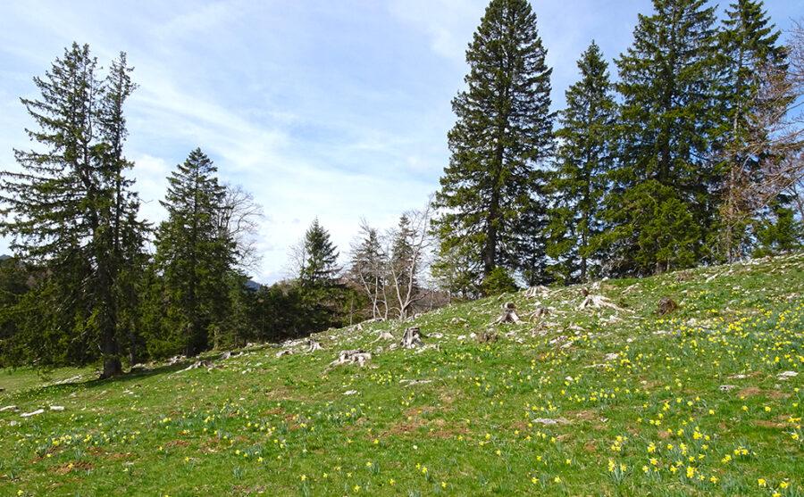 2026-04-17-12h36m53s000_DSC-HX90V