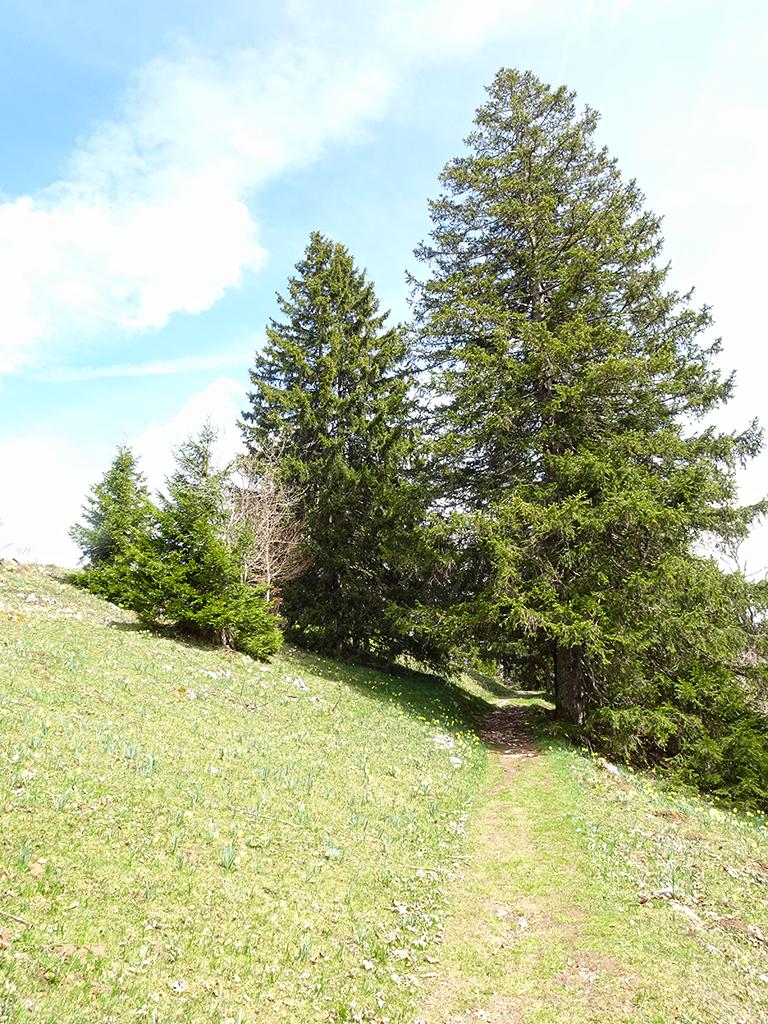 2026-04-17-13h18m54s000_DSC-HX90V