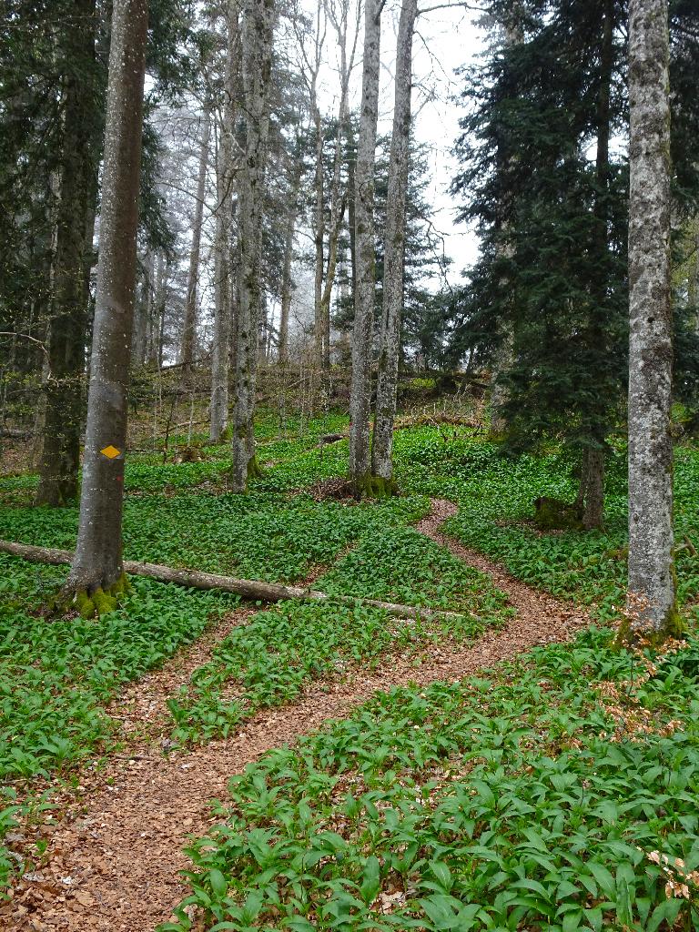 09 – 19.04.2026 Vue des Alpes – Noiraigue