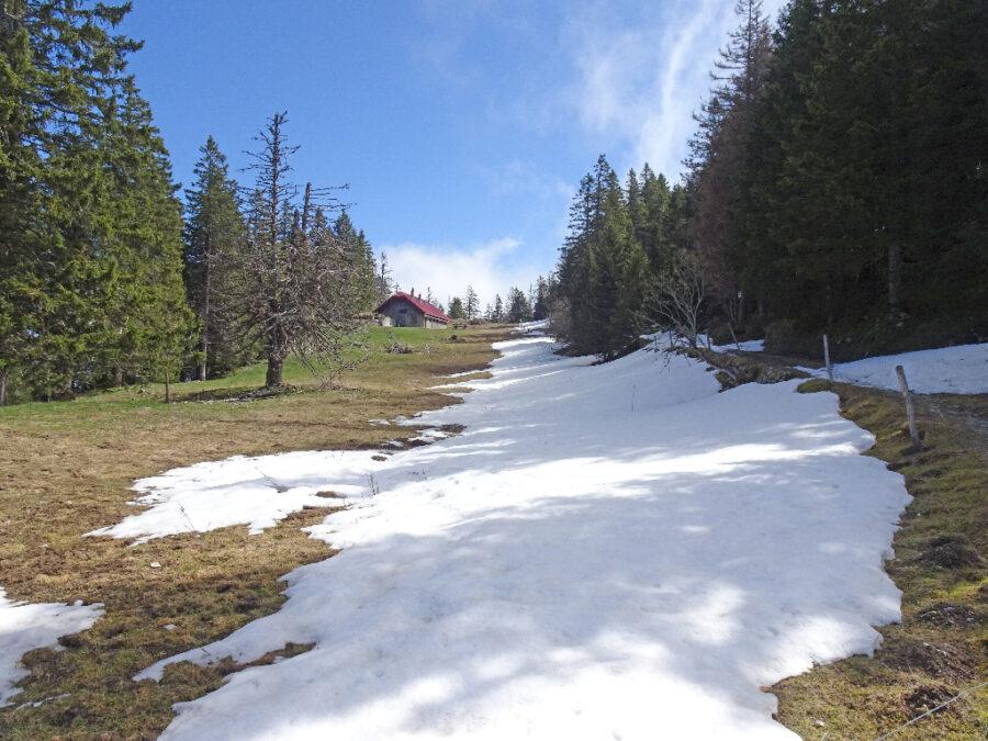 2026-04-22-11h19m09s000_DSC-HX90V