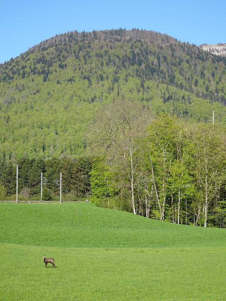 2026-04-23-10h21m03s000_DSC-HX90V