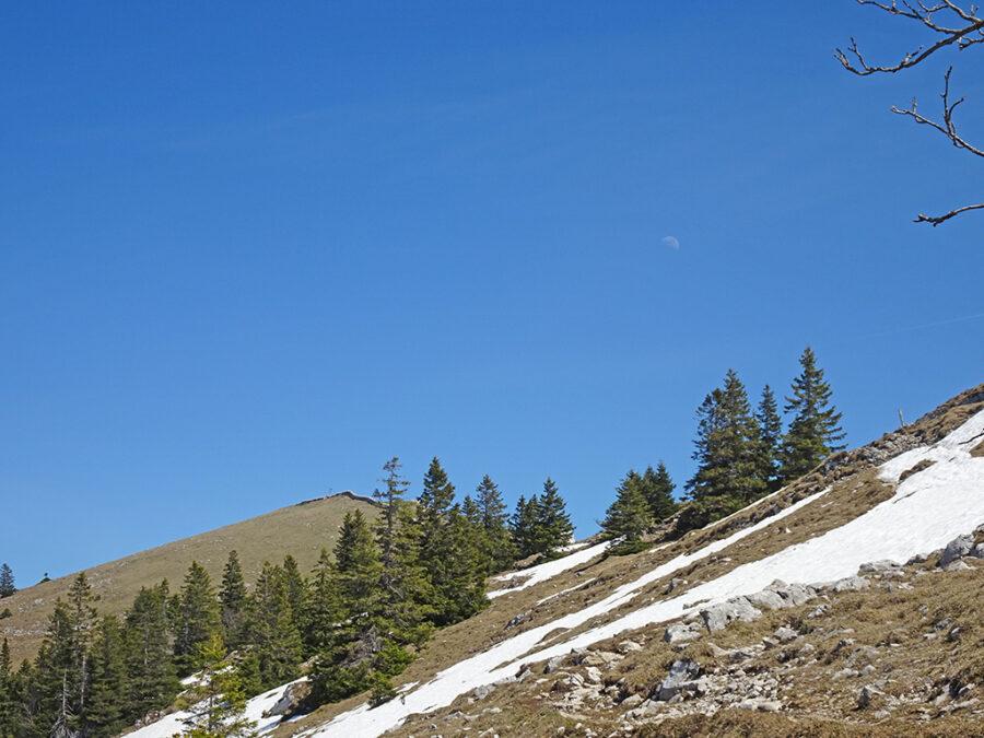 2026-04-24-09h11m03s000_DSC-HX90V_53