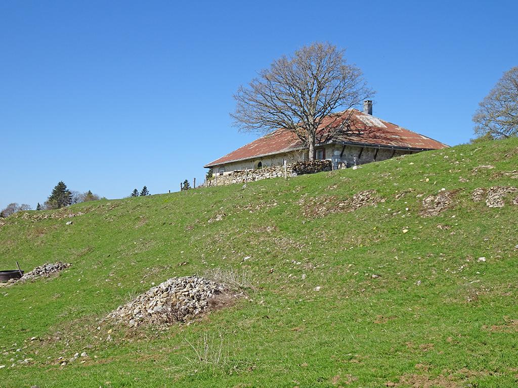 15 – 25.04.2026 Col du Marchairuz – St-Cergue