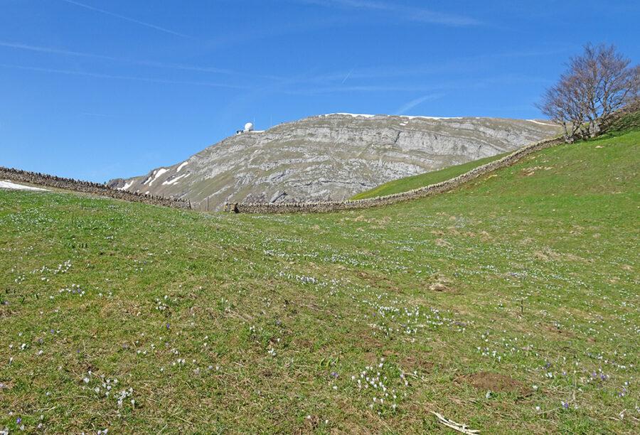 2026-04-26-10h59m22s000_DSC-HX90V