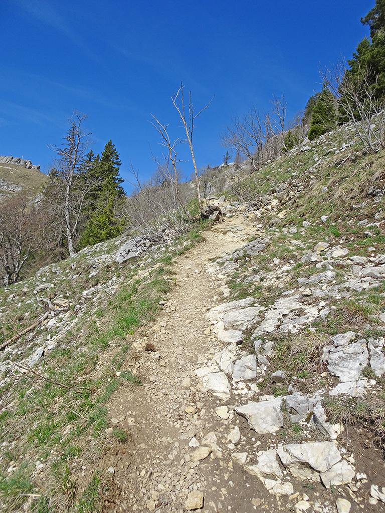 2026-04-26-11h12m52s000_DSC-HX90V