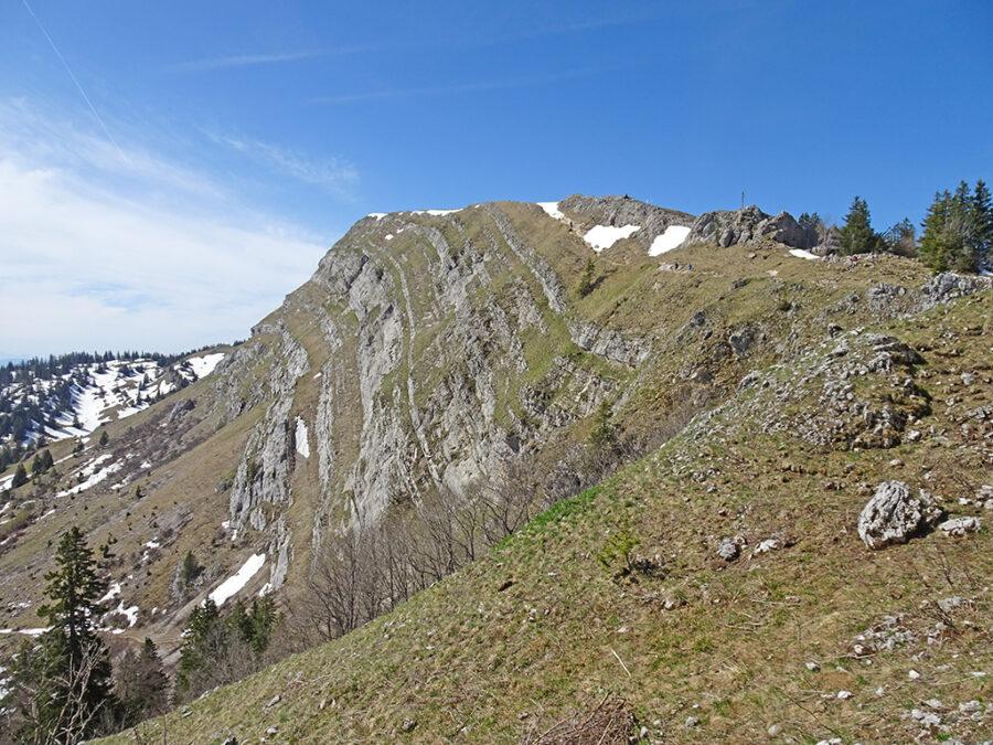 2026-04-26-11h18m02s000_DSC-HX90V
