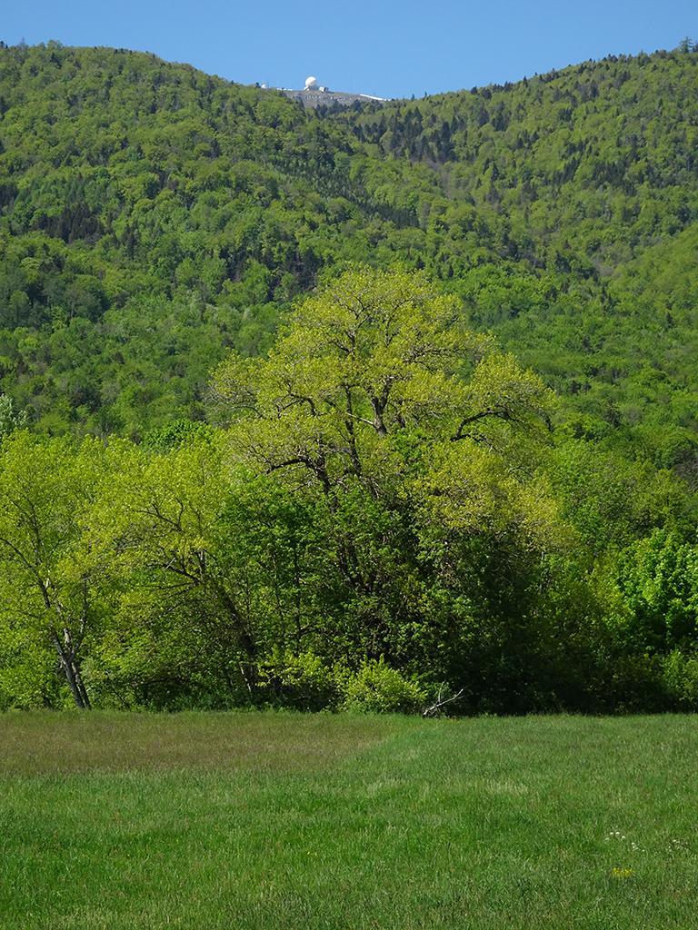 2026-04-26-14h32m02s000_DSC-HX90V